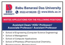 Babu Banarasi Das University , Lucknow Wanted Teaching and Non-Teaching Faculty